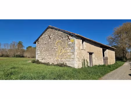 vente locaux professionnels 1 pièce 125 m² à chaveignes (37120)  33 000 €