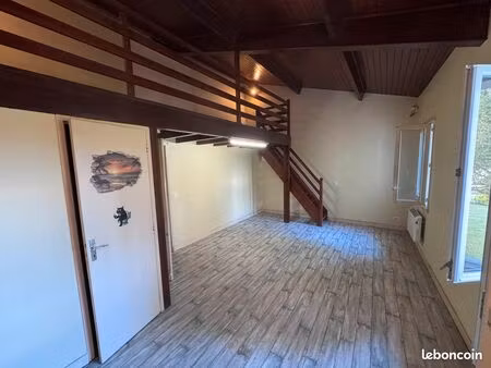 appartement 1 pièce + mezzanine