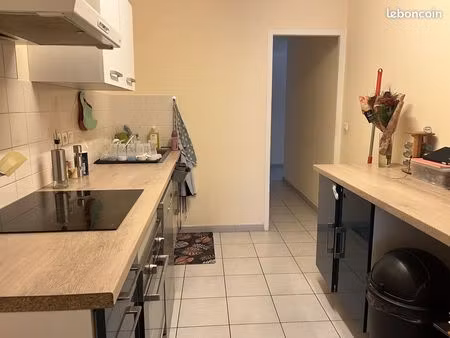 appartement 3 pièces 81 m²