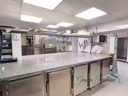 vente locaux professionnels 0 pièces 350 m² à fontainebleau (77300)  250 000 €