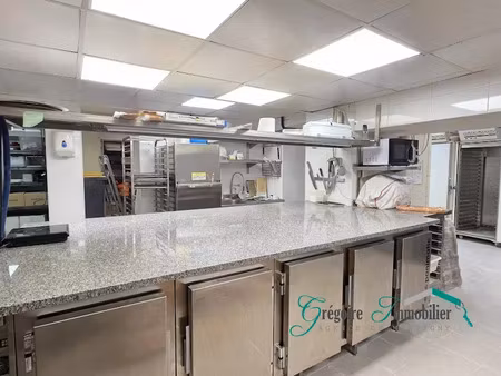 vente locaux professionnels 350 m² à fontainebleau (77300)  250 000 €