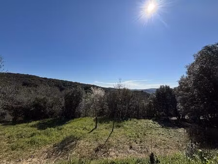 terrain constructible