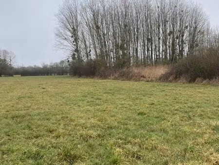 terrain à vendre château-la-vallière