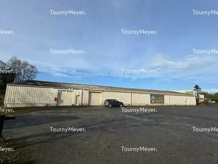 vente local d'activités 2 400 m²