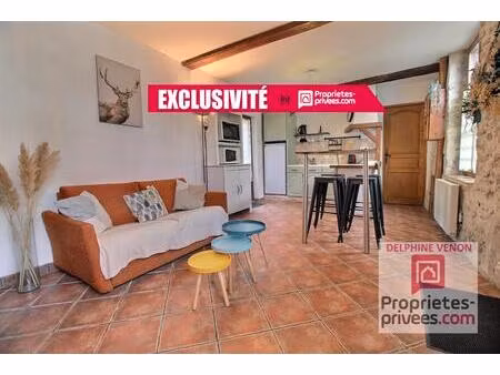 exclusivité - maison en coeur de ville à chateauneuf sur loire