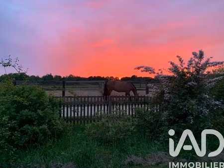 vente haras 8 pièces