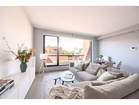 appartement te huur in borsbeek met 1 slaapkamer