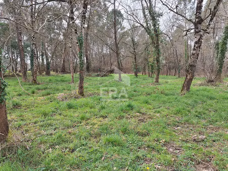 terrain 0 pièces 1484 m² à vendre / acheter montpon-ménestérol 24700 ? | era immobilier
