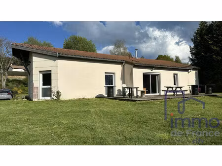 achat local professionnel 163m² st just malmont 43240