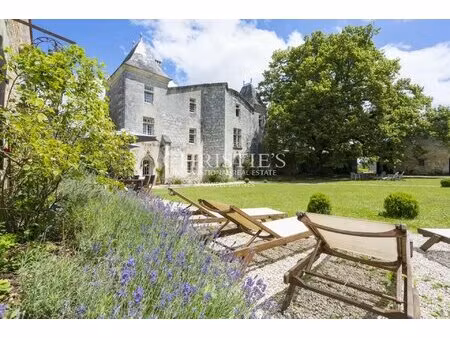 exceptional château with outbuildings near angoulême with id 3585163149