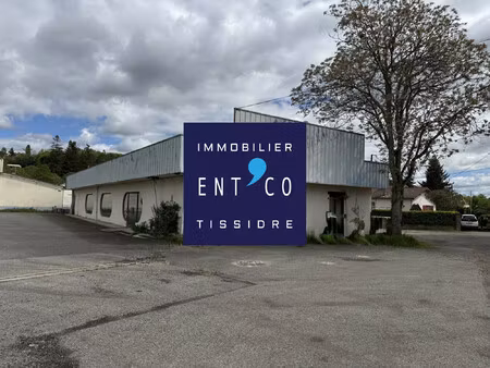 achat local commercial 381m² bon encontre 47240