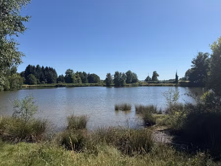 achat terrain 84 280m² beyssenac 19230