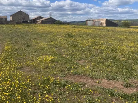 terrain à bâtir à belmont sur rance (12370)