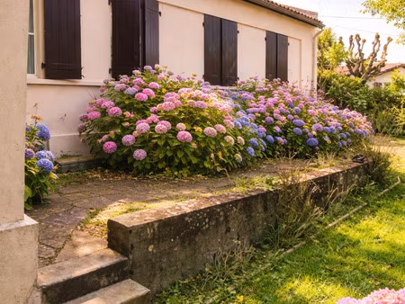 maison 4 chambres quartier 4 cantons à anglet