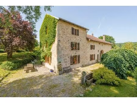 vente maison 7 pièces 309 m² dounoux (88220)