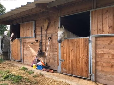 propriété équestre 77