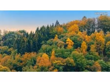 cherche foret ou friche agricole