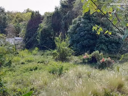 terrain 1 682 m² deshaies