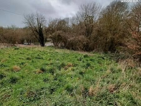 terrain 562 m² oree d anjou