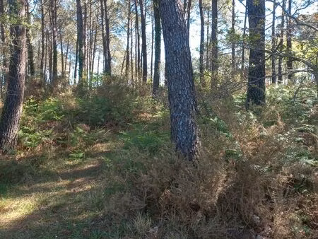 recherche parcelle forestiére ou agricole