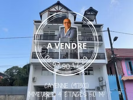 immeuble mixte de 510 m² à cayenne