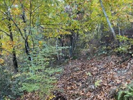 recherche terrain agricole / forestier / de loisir ~2 hectares secteur rixheim