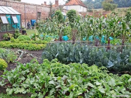 recherche terrain pour potager
