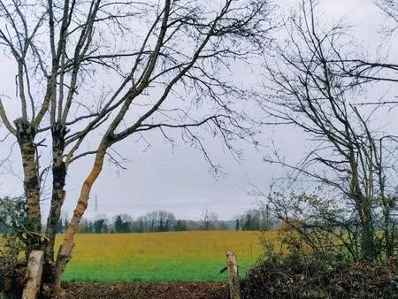 champ agricole 2.5 hect