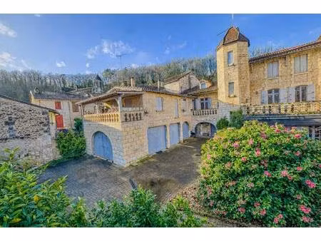 !! en exclusivite!! a vendre  superbe propriété en pierre au coeur de brantôme-en-périgord