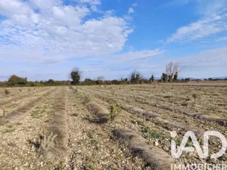 terrain à sainte cecile les vignes (84290)