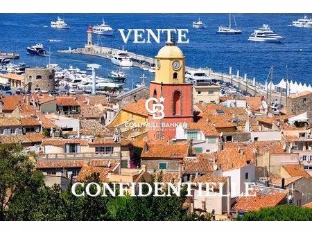 annonce commerce à vendre