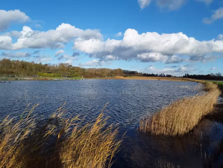 achat terrain 15 000m² quend 80120