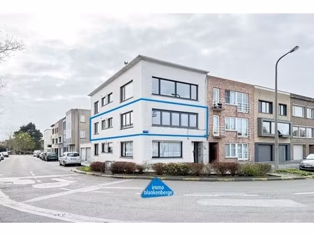 volledig gerenoveerd ruim 2 slaapkamer appartement