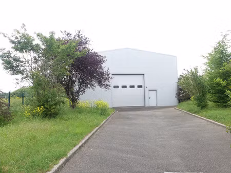 vente commerce 4 pièces 575 m² cernay (68700)