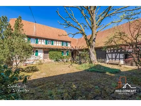 mulhausen authentique maison alsacienne de 1836 dans un écrin de verdure