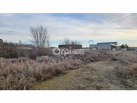 vente terrain 10 000 m²