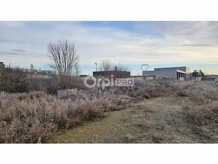 vente terrain sainte croix en plaine 68127 10000m²