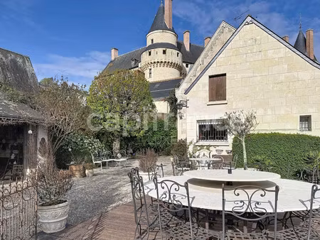 local professionnel à vendre langeais 9 pièce(s) 420m2 799 000€