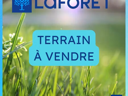 terrain les portes du coglais 19880 m2