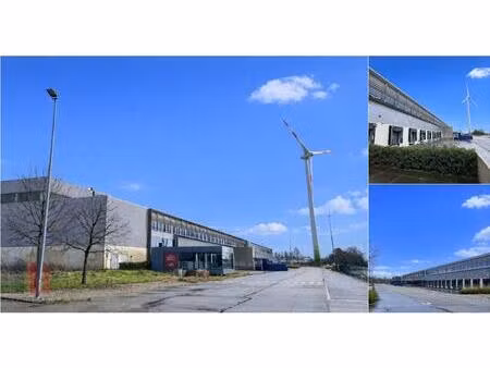 surface industrielle à louer à lochtemanweg 17 beringen (rbv71251)