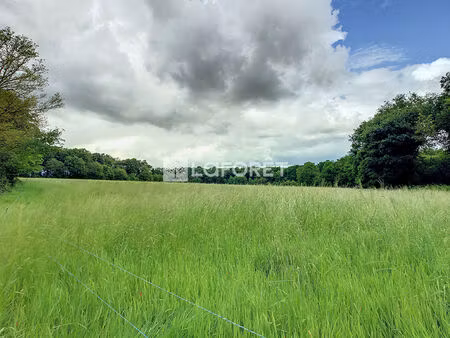 terrain paimpont 40700 m2