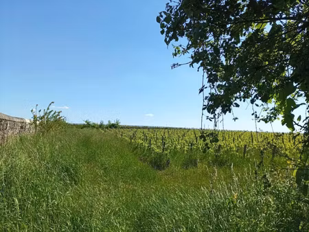 vente terrain à construire 432 m² margaux-cantenac (33460)