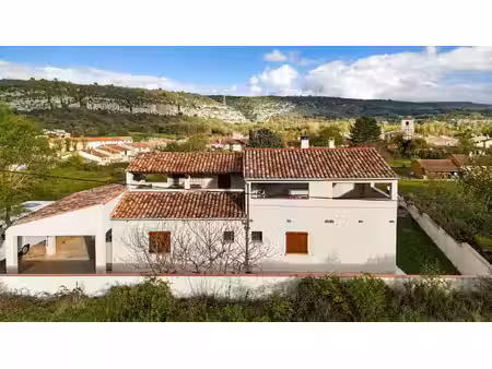 vente maison 4 pièces 160 m² quinson (04500)