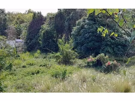 terrain deshaies m² t- à vendre  253 000 €