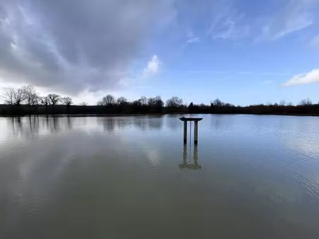 vente property.type.service 123995 m² tendu (36200)