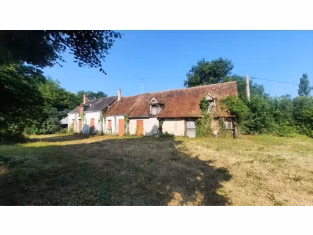 vente maison 3 pièces 100 m² rouvres-les-bois (36110)