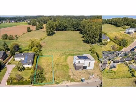 terrain à vendre à lozenhoek 11 (lot 1) rotselaar (rbv70972)