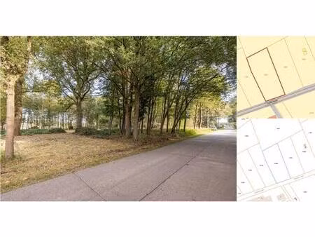 terrain agricole à vendre à diamantstraat wechelderzande (rbv71080)