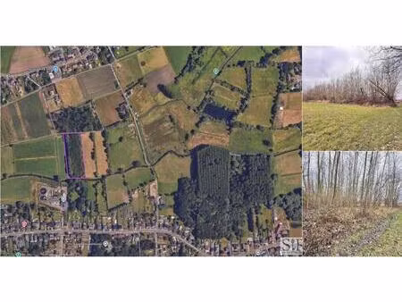 terrain à vendre à muizenstraat hofstade (rbv70950)