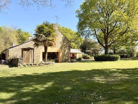 vente maison à fay-de-bretagne (44130) : à vendre / 193m² fay-de-bretagne